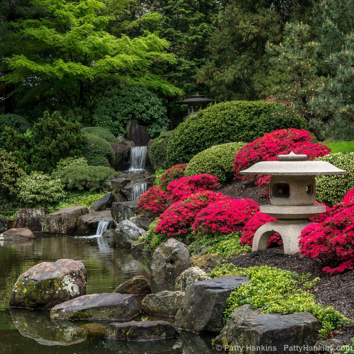 Japanese Gardens - Neil Dickinson