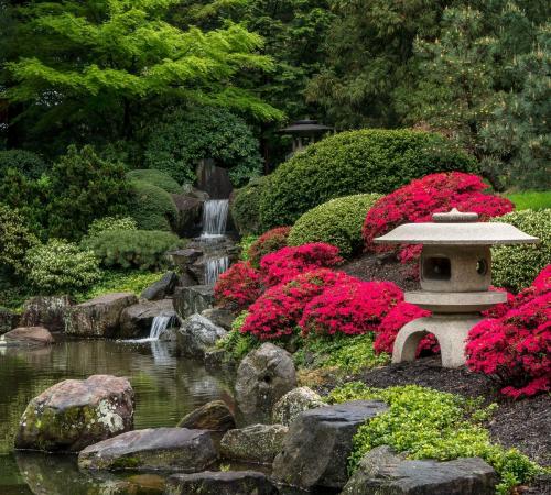 Japanese Gardens - Neil Dickinson
